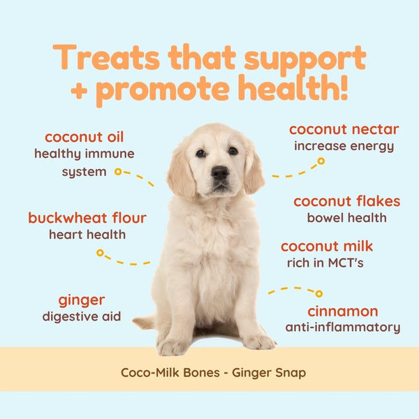 Coco-Milk Bones Ginger Snaps Biscuit
