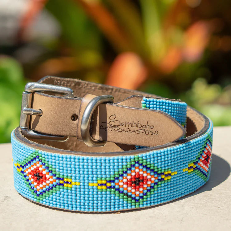 Blue Vogue Sambboho Dog Collar DOG TUB