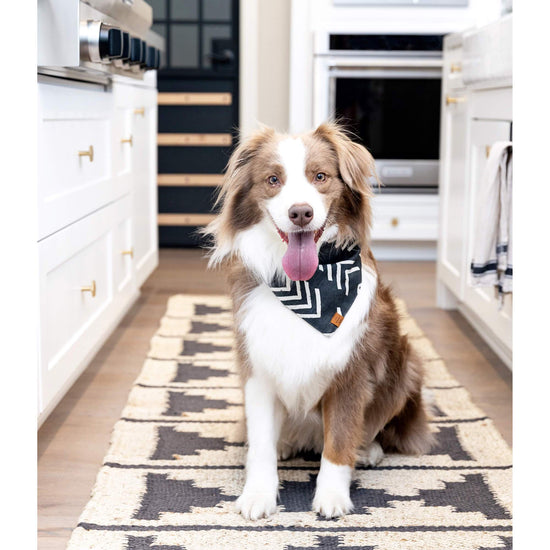 Modern Mud Cloth Black Dog Bandana
