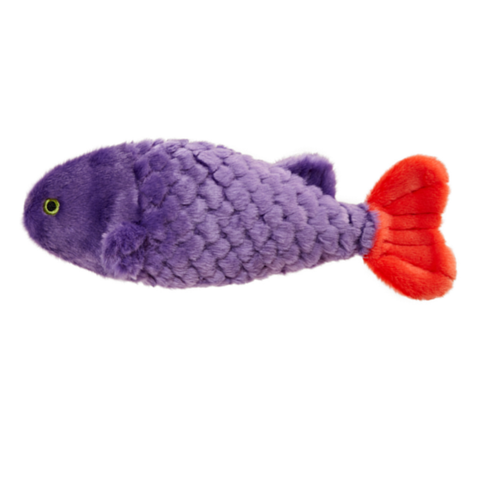 Cici the Tropical Fish
