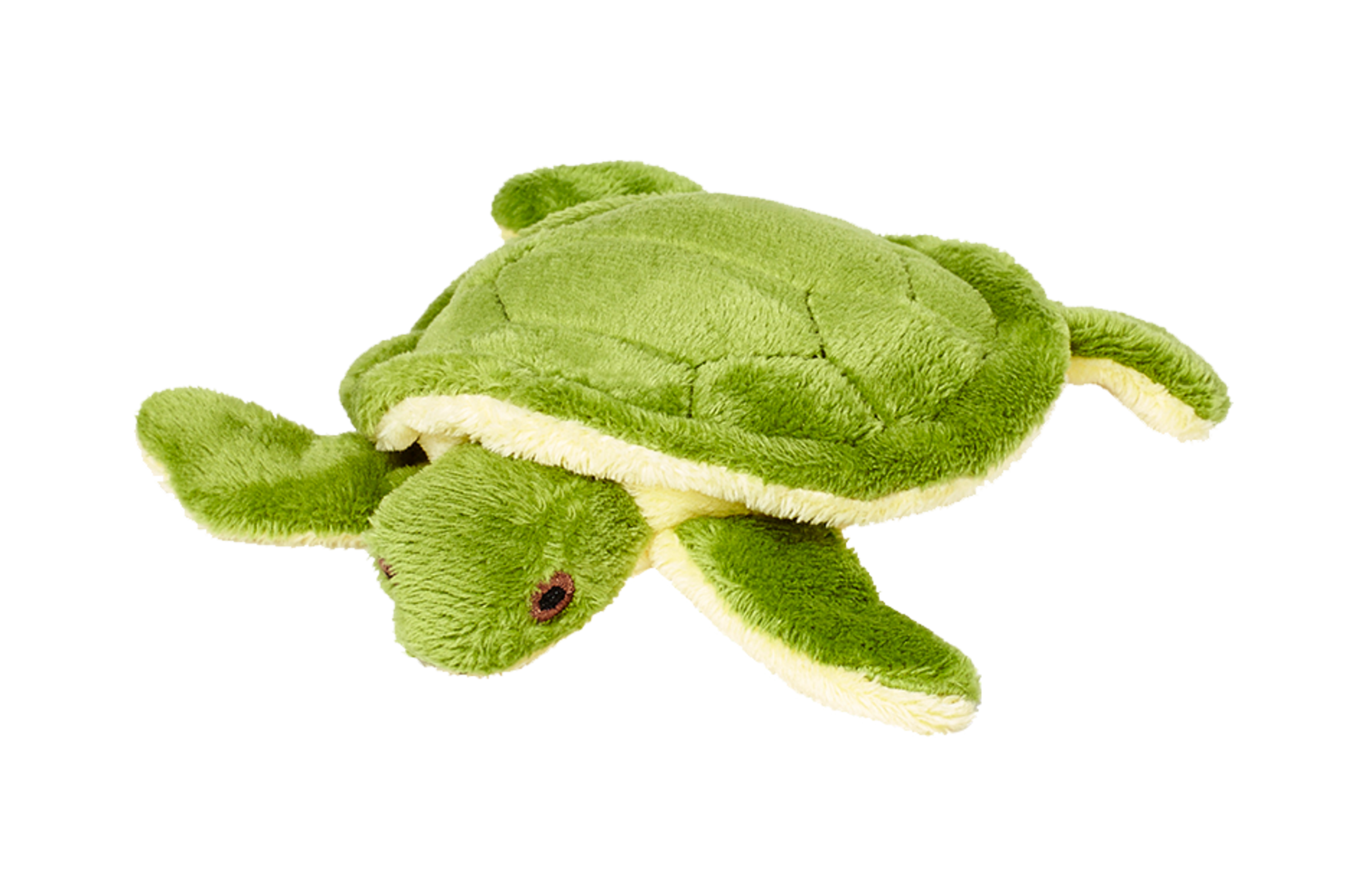 Shelly Turtle