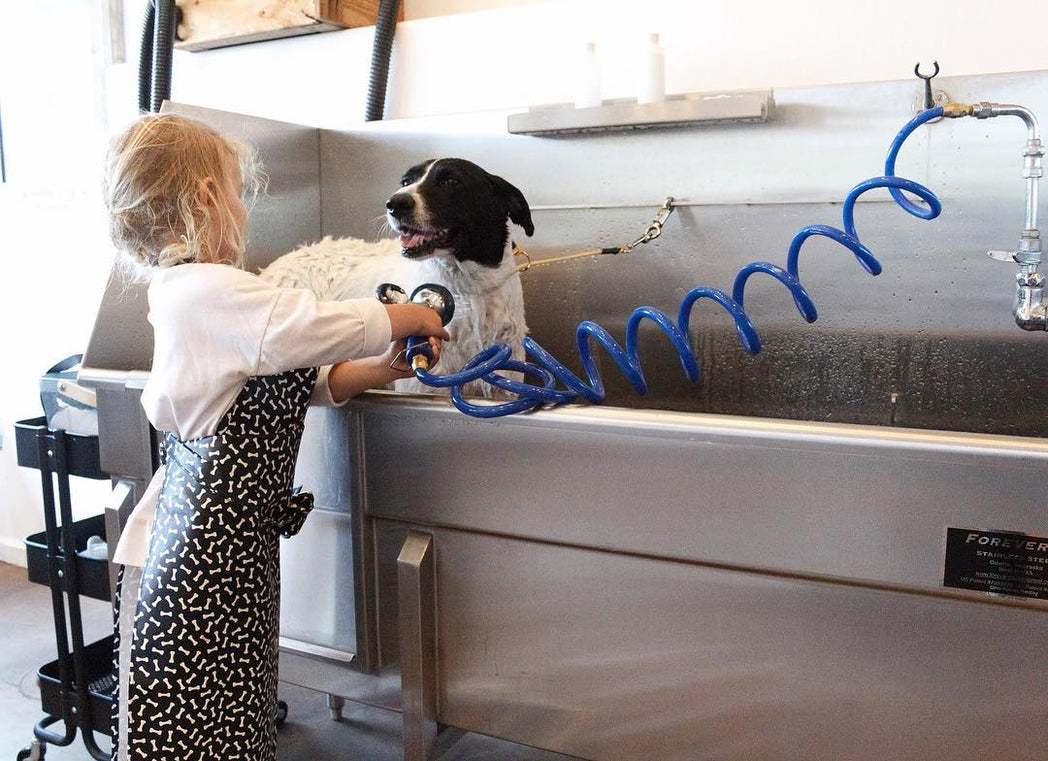 Dog Tubs for a Self Service Dog Wash - DOGTUBS.COM 