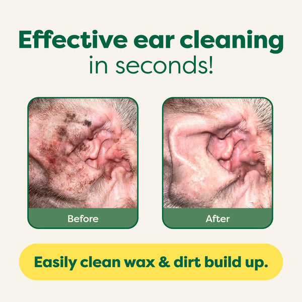 Ear Wipes Earth Rated