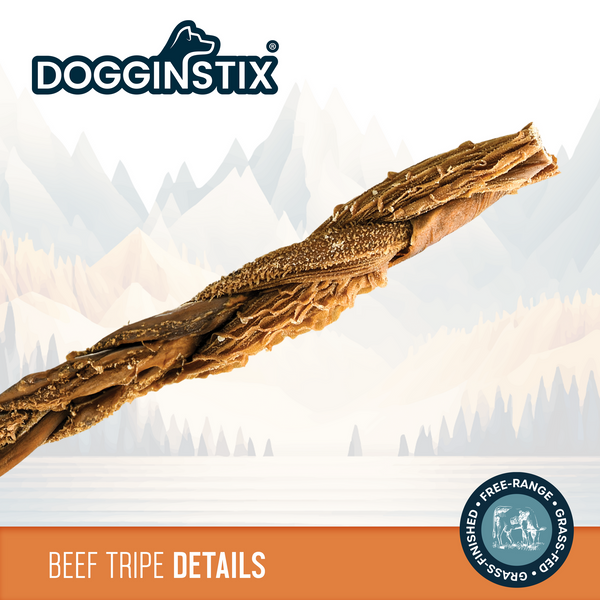 12" Braided Beef Tripe