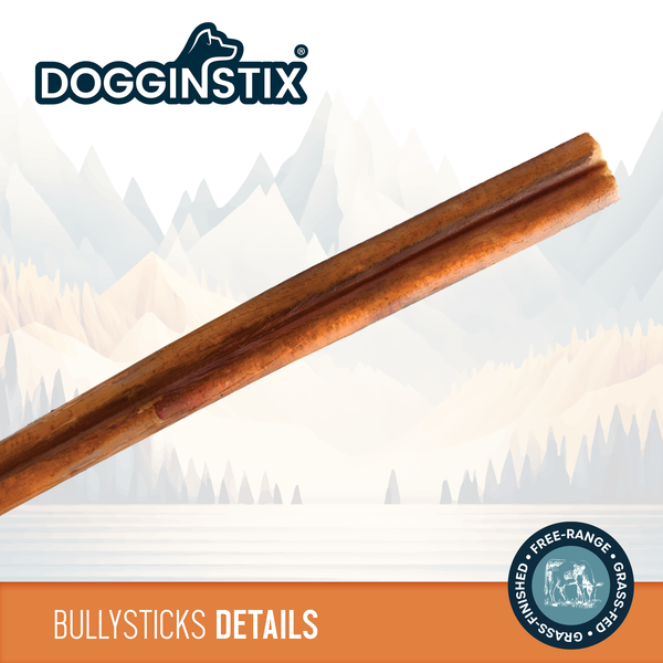 12" Beef Bully Stick