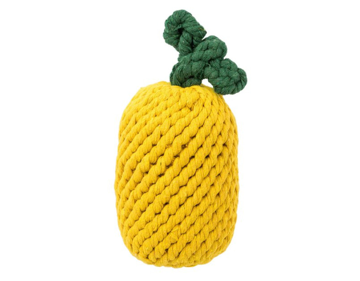 Pineapple Rope Toy
