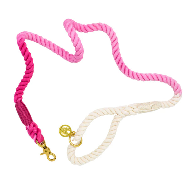 Pink Papyrus- 6" Regular Dog Leash