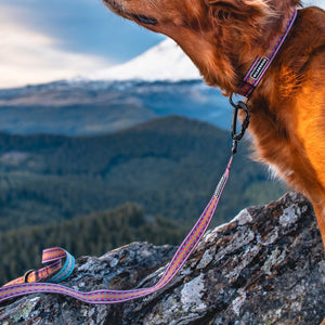 Daybreak Ultralight Collar