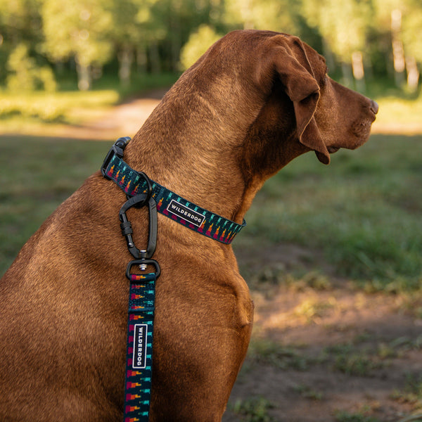 Marina Ultralight Collar