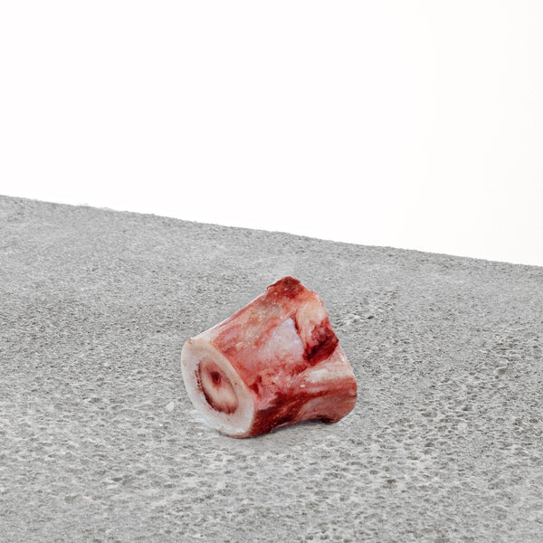 Single Marrow Bone