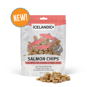 Salmon Chips