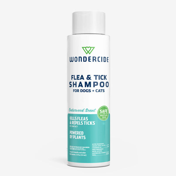 Flea & Tick Shampoo