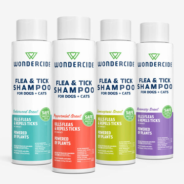 Flea & Tick Shampoo