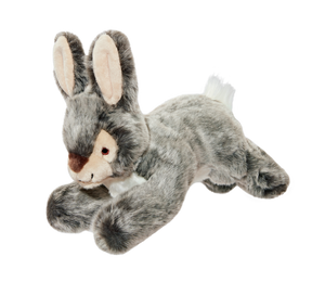 Walter Rabbit