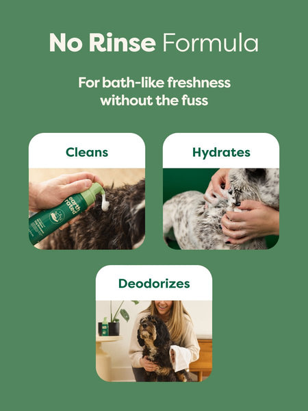 Shampoo No-Rinse Earth Rated