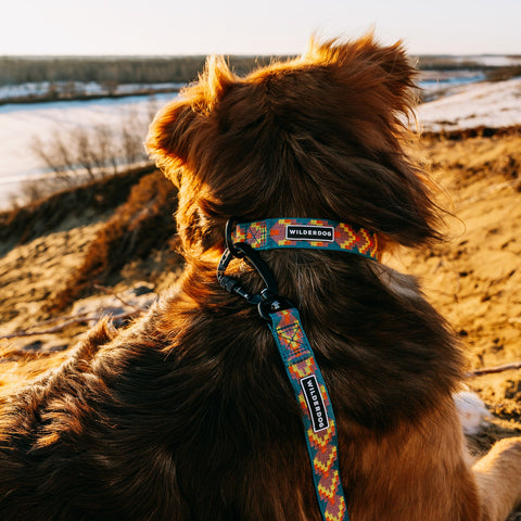 Havasu Ultralight Collar